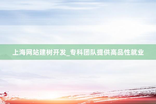 上海网站建树开发_专科团队提供高品性就业